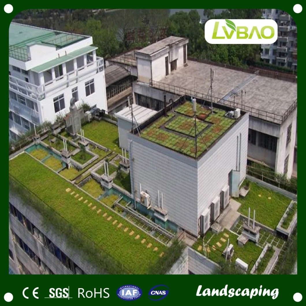 LVBAO High Density Customized 10mm Height Artificial Grass Gym Turf