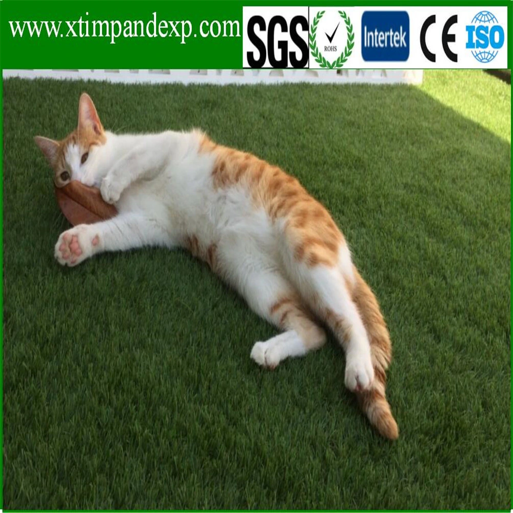 Soft Touching Antiseptic Landscape Artificial Grass for Pet